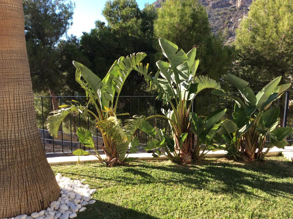 Olivos Holiday Home アルテア 部屋 写真