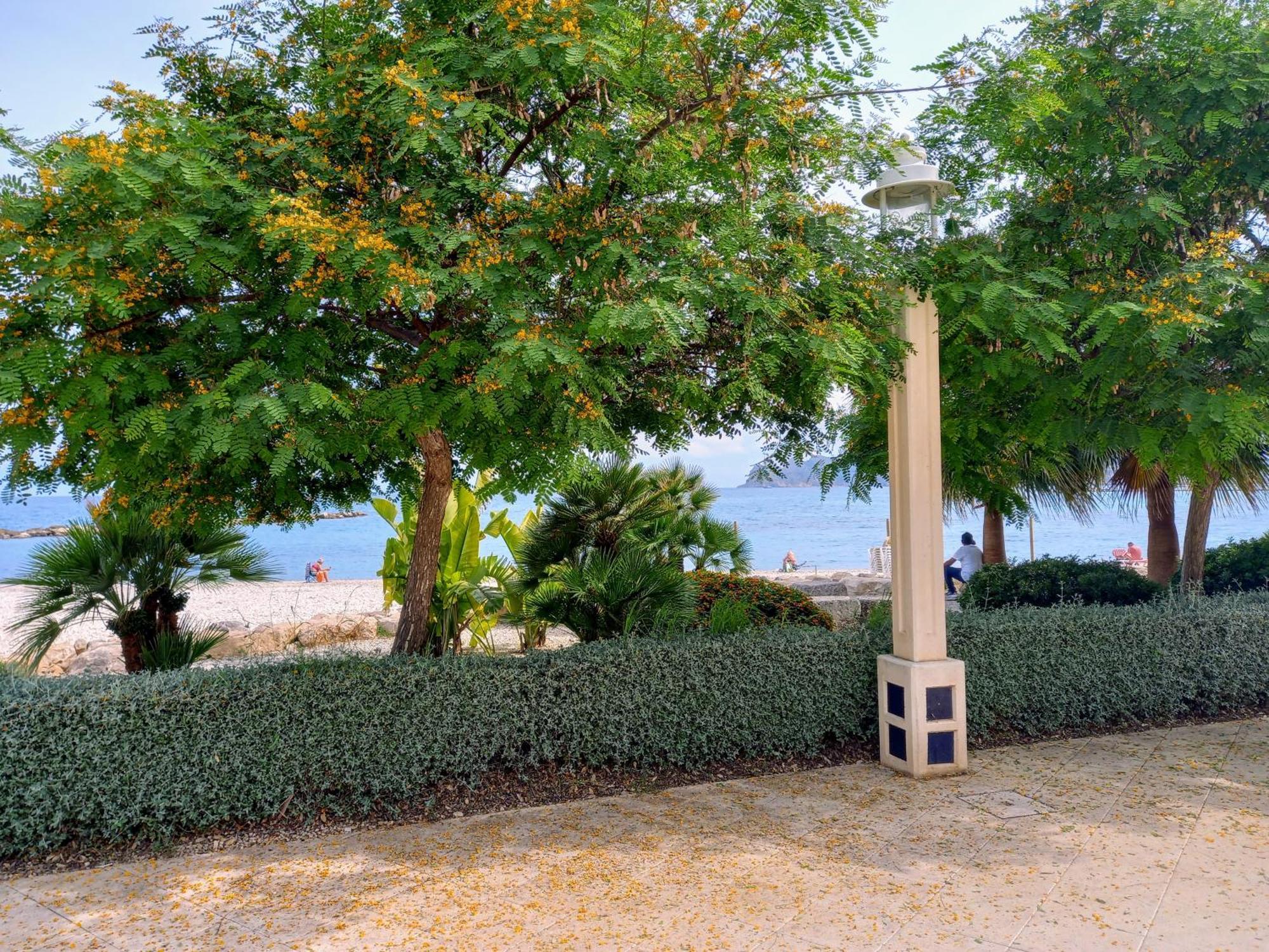 Olivos Holiday Home アルテア エクステリア 写真